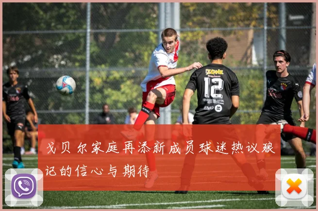 戈贝尔家庭再添新成员球迷热议狼记的信心与期待