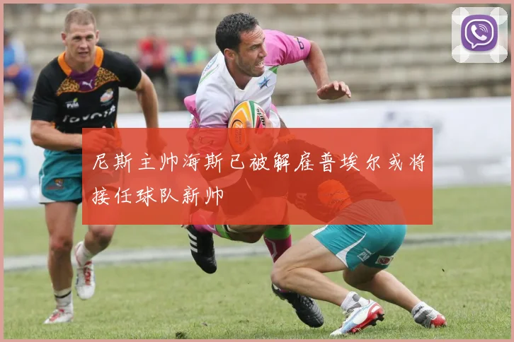 尼斯主帅海斯已被解雇普埃尔或将接任球队新帅