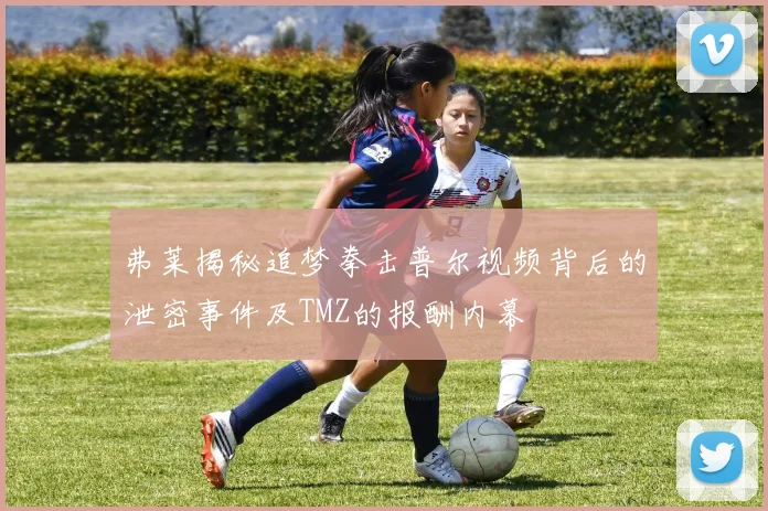弗莱揭秘追梦拳击普尔视频背后的泄密事件及TMZ的报酬内幕